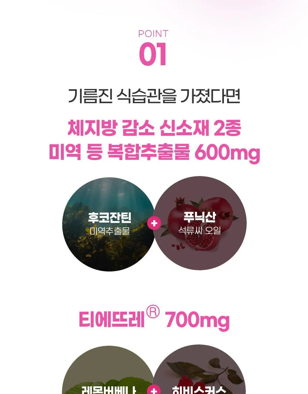 [딥트3일 한정기획] 워터밤 패키지 스트롱 플러스 8포+듀얼 버닝 3포 상세페이지 70